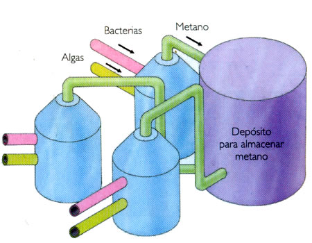 Digestor de metano